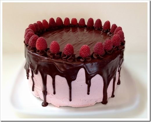 Yummy Truffle Cream Cake 1 Kg Eggless