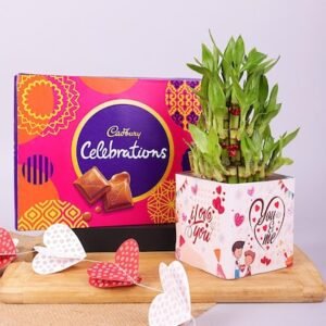 Love Bamboo With Cadbury Combo