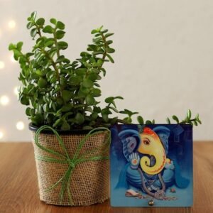 Jade Plant with Divine Ganesha Tabletop