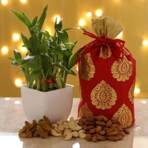 Lucky Bamboo with Dry Fruit Delights