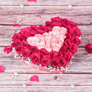 HeartShaped Pink and Red Roses