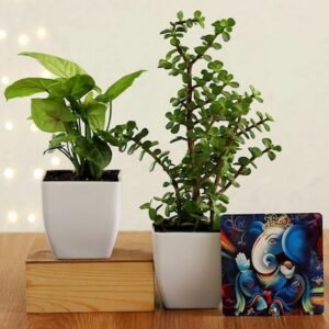 Jade and Money Plant Harmony with Ganesha