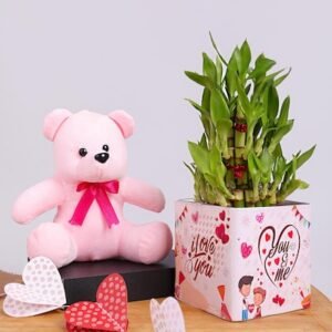 Adorable Teddy With Bamboo Combo