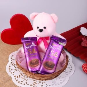 Two Dairy Milk Chocolate With Soft Toy