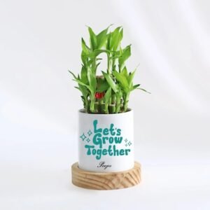 Lets Grow Together Personalised Bamboo Plant