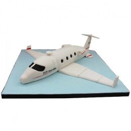 White Airplane Cake